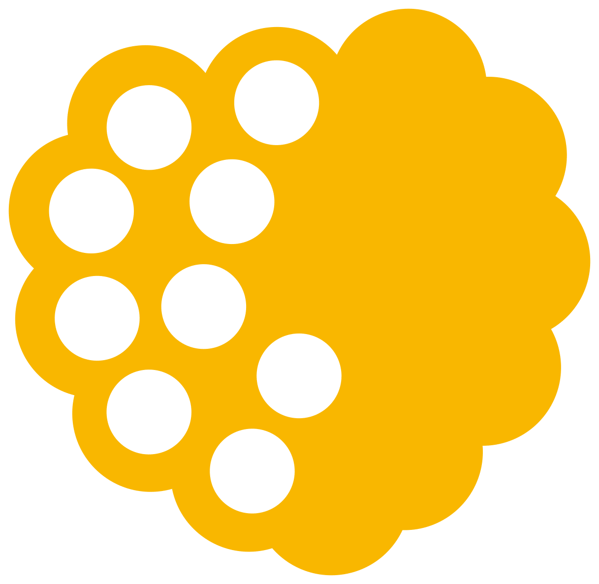 Vocaberry logo