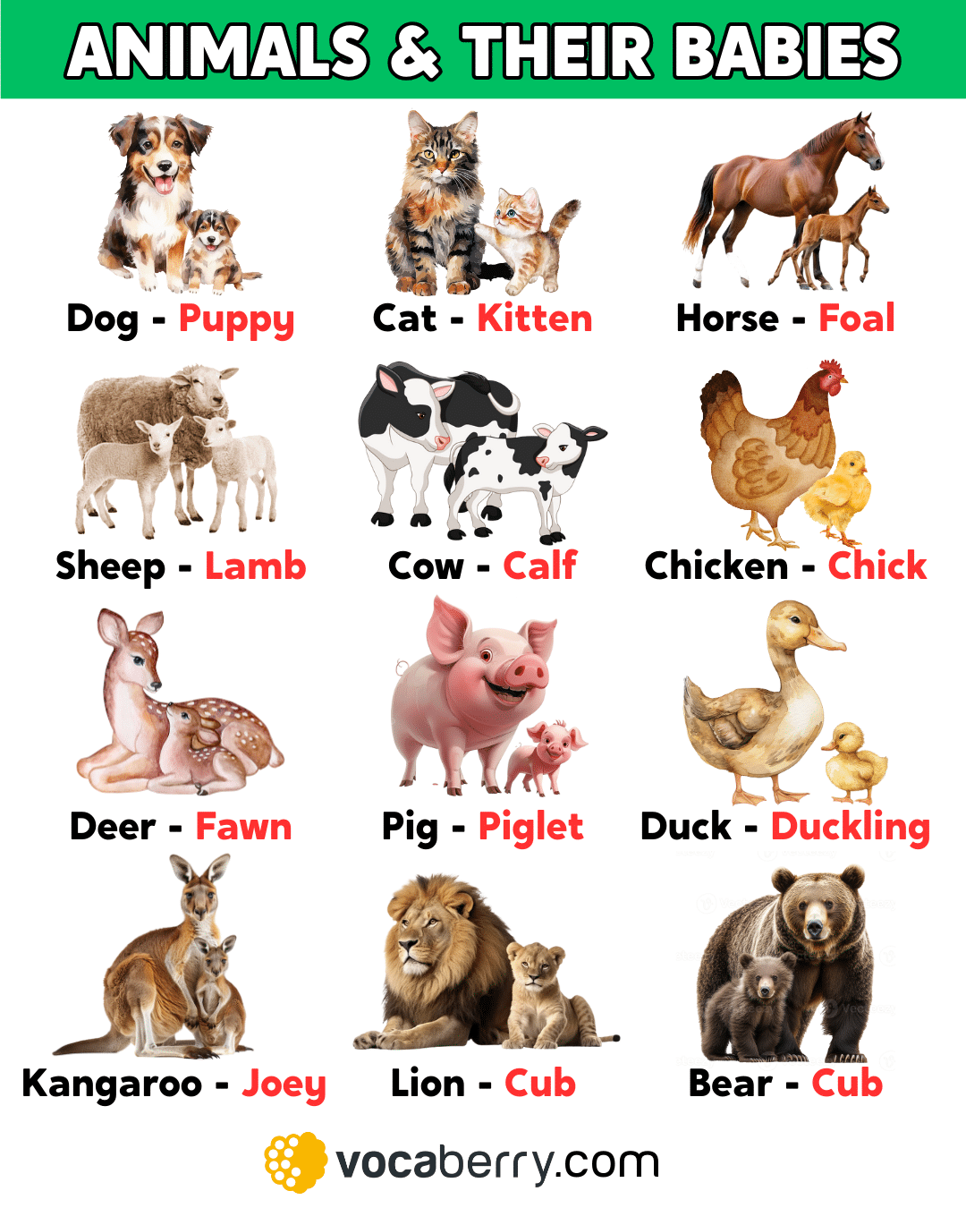 animals-and-their-babies-names-in-english-learn-english-vocabulary-lesson-esl-vocaberry-young-animals-list