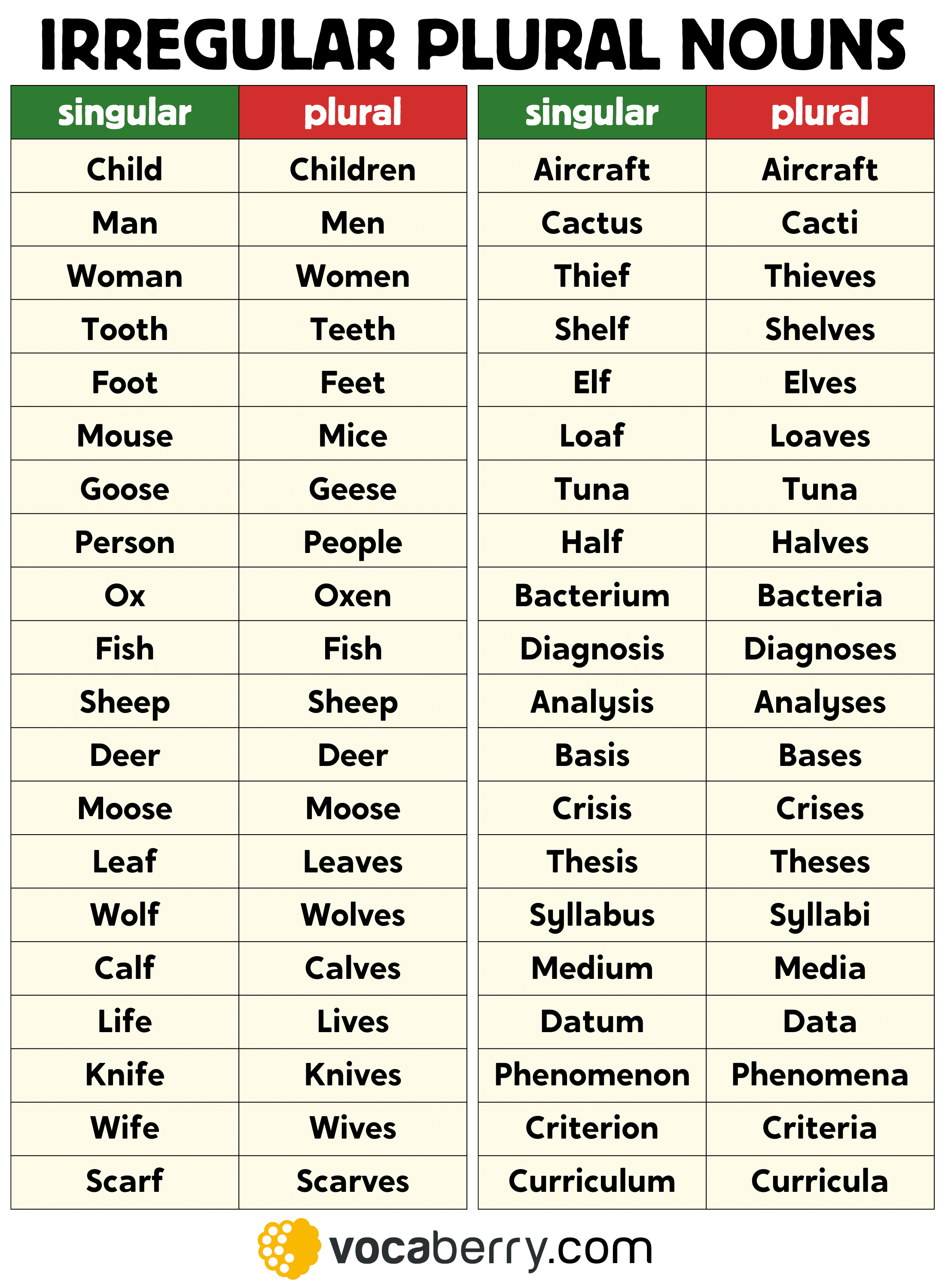 irregular-plural-nouns-in-english-learn-english-grammar-lesson-english-vocabulary-irregular-plurals-words-list-esl-vocaberry