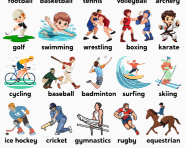 Sports Vocabulary in English – Learn Different Types of Sports