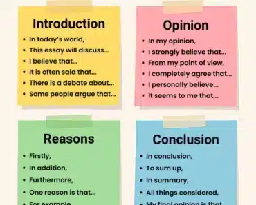 How to Write an Opinion Essay in English
