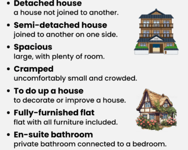 IELTS Vocabulary: Accommodation