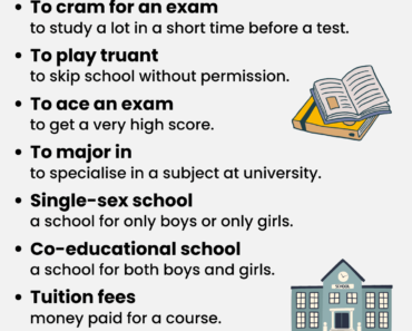 IELTS Vocabulary: Education