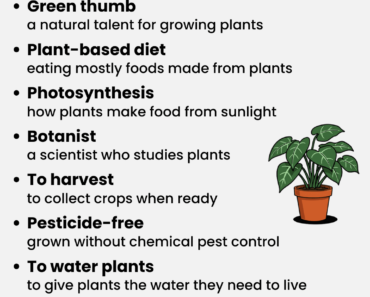IELTS Vocabulary: Plants IELTS Vocabulary: Plants