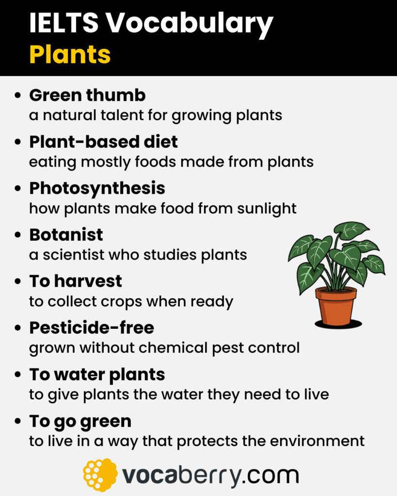 ielts-vocabulary-for-plants-with-definitions-ielts-speaking-part-1-part-2-part-3-questions-and-sample-answers-english-vocaberry