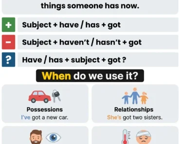 Have Got and Has Got: Usage, Forms, and Examples