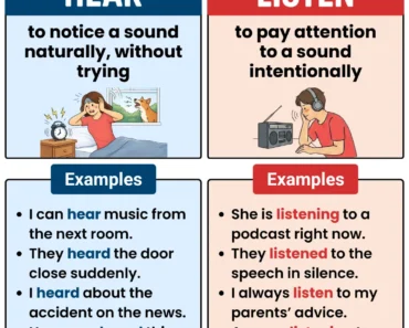 Hear vs. Listen: What’s the Difference?