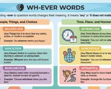 However, Whatever, Whichever, Whenever, Wherever, Whoever: How to Use Them