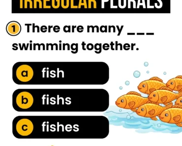 Irregular Plurals Quiz – English Grammar