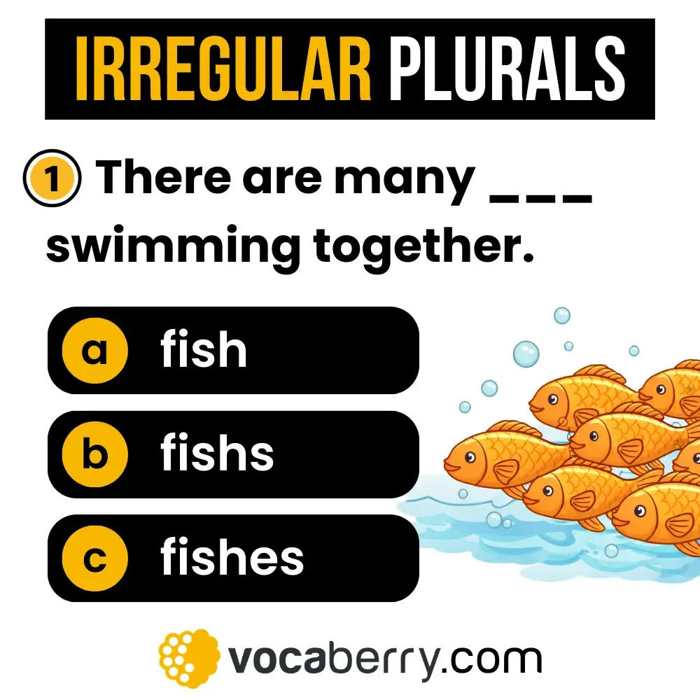 irregular-plurals-quiz-english-grammar-exercise-test-your-english-learn-english-irregular-plural-nouns-practice-esl-vocaberry