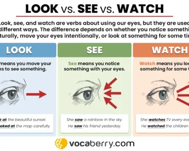Look vs See vs Watch: What’s the Difference? Look vs See vs Watch: What’s the Difference?
