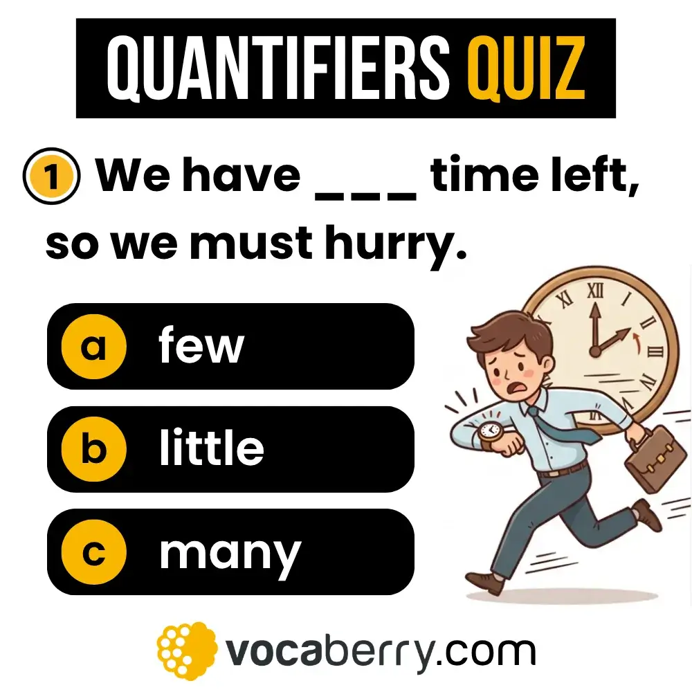 quantifiers-quiz-many-much-few-little-some-any-english-grammar-exercise-test-your-english-learn-english-esl-vocaberry