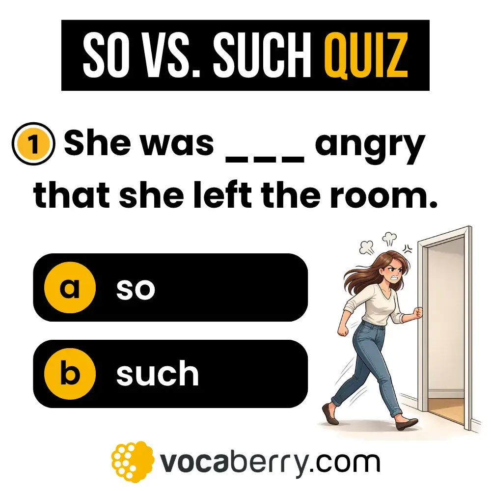 so-vs-such-quiz-english-grammar-exercise-test-your-english-learn-english-vocaberry