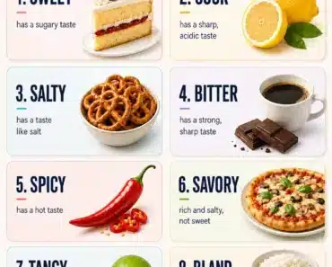 Taste Vocabulary: Adjectives to Describe Taste in English Taste Vocabulary: Adjectives to Describe Taste in English