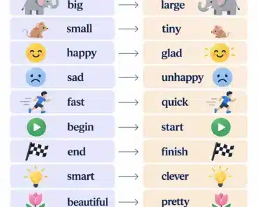 What Are Synonyms? Meaning and Examples